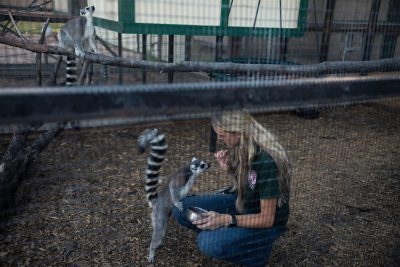 Woman Feeding a Lemur