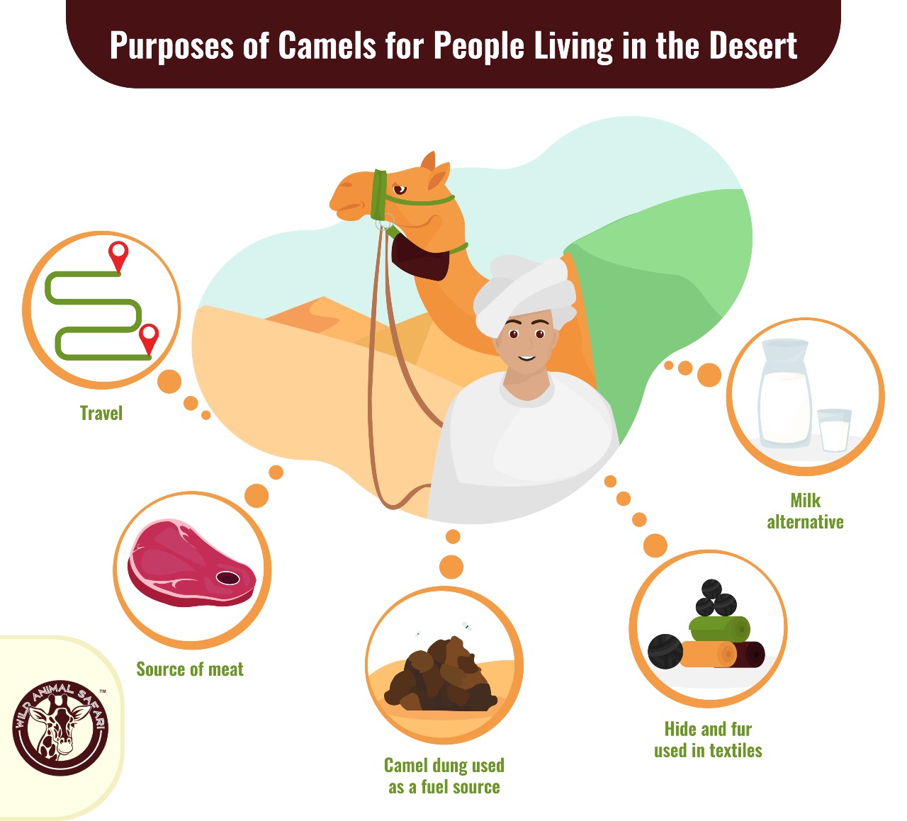 purposes-of-camels-for-people-in-desert